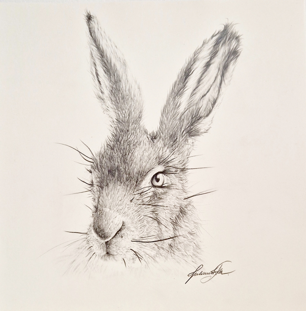 Hare #3 (2021)
