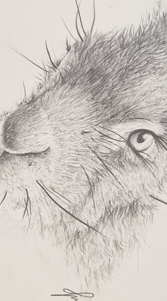 Hare #3 (2021)