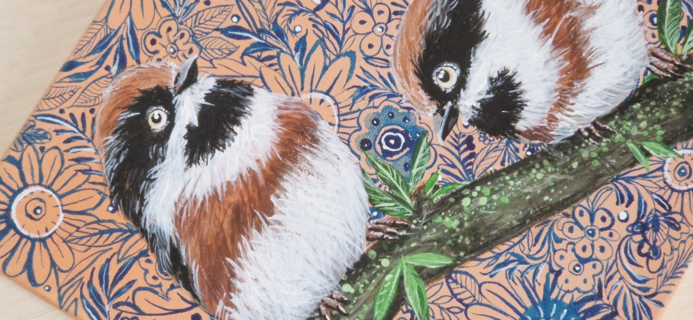 Black-Throated Bushtits (2022)