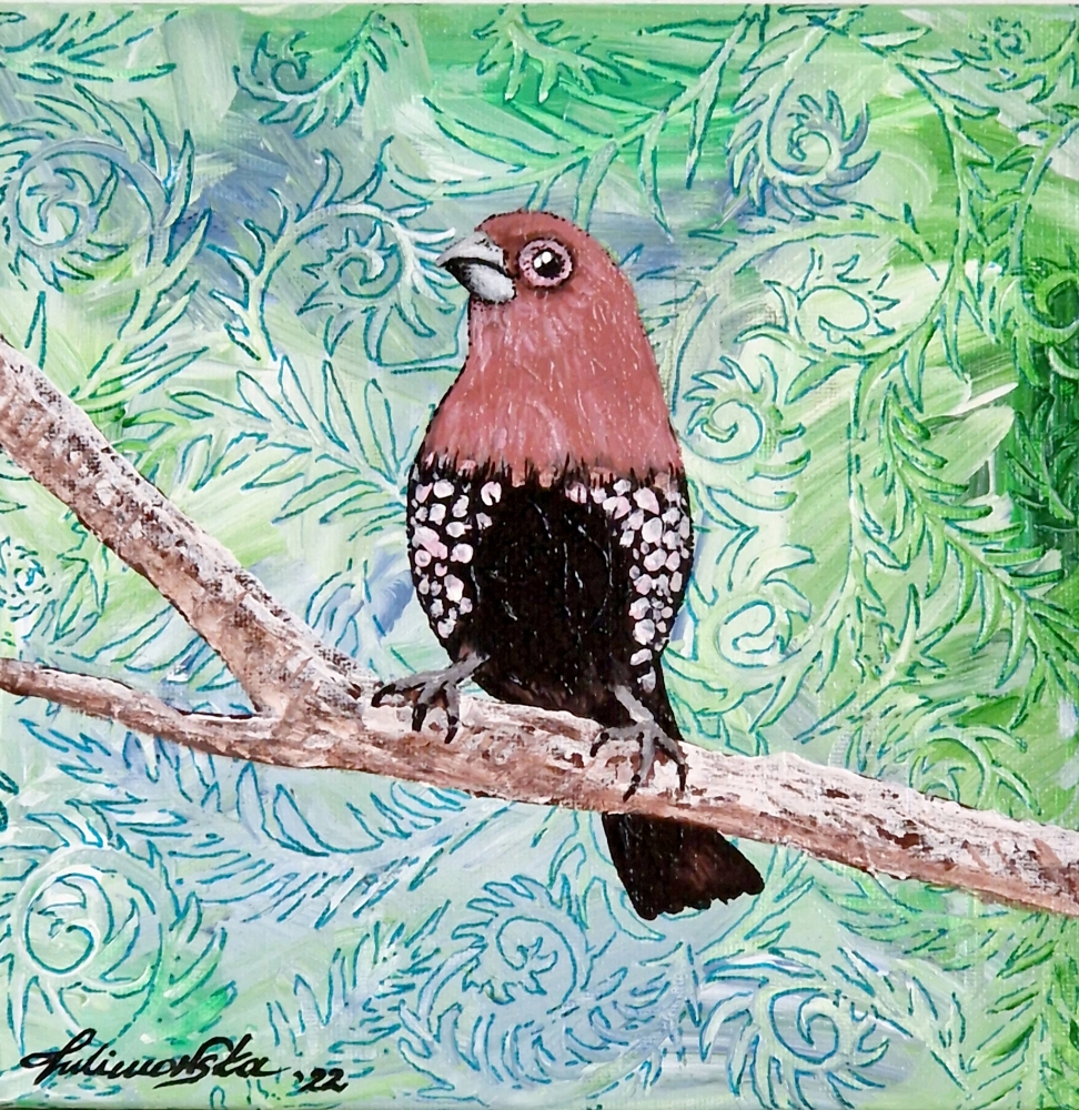 Pink-Throated Twinspot (2022)