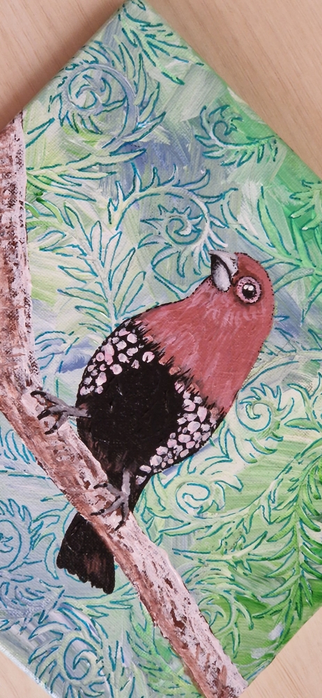 Pink-Throated Twinspot (2022)