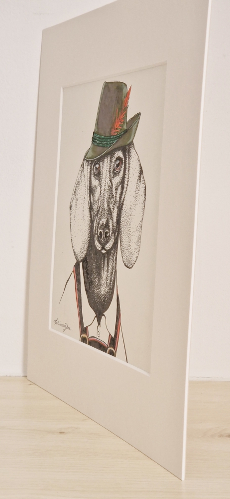 DACHSHUND (2017)