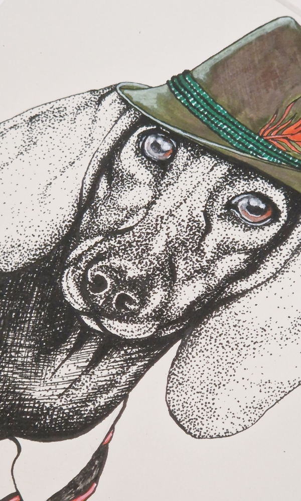 DACHSHUND (2017)