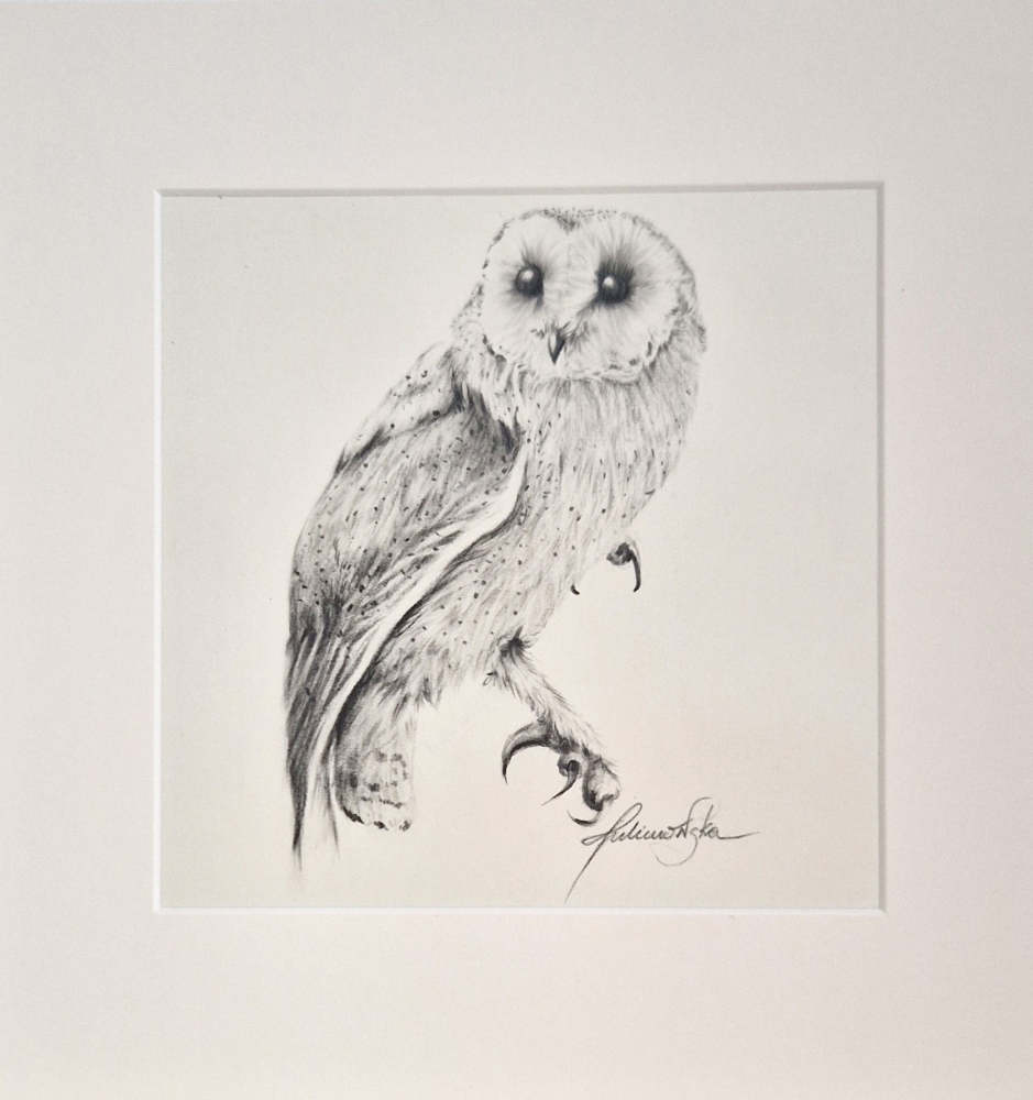 Bam Owl #3 (2021)