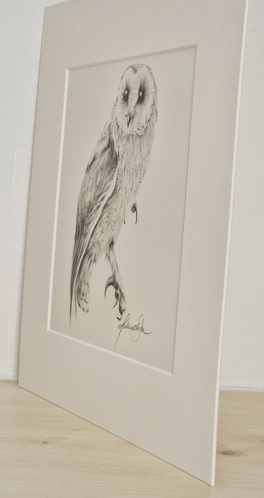 Bam Owl #3 (2021)