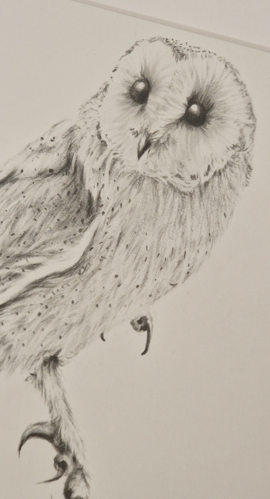 Bam Owl #3 (2021)