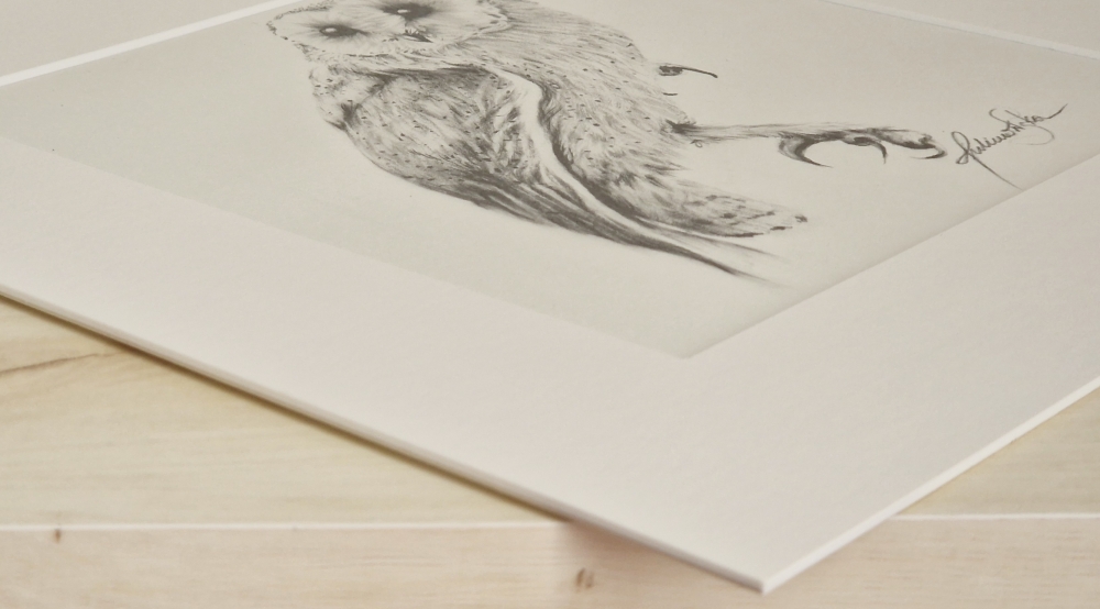 Bam Owl #3 (2021)