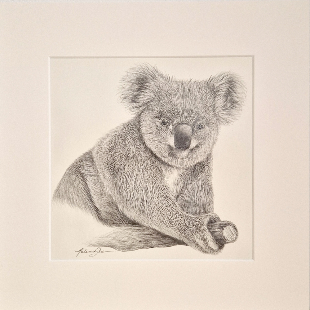 Koala (2021)