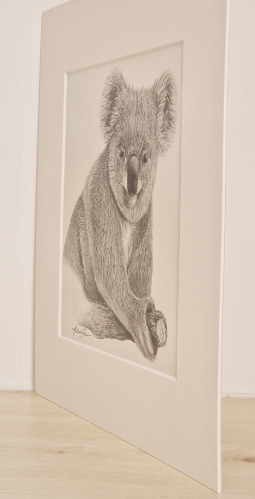 Koala (2021)