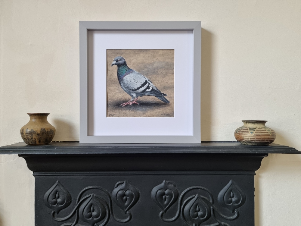 'Pigeon' Original framed gouache painting by Matthew Allton