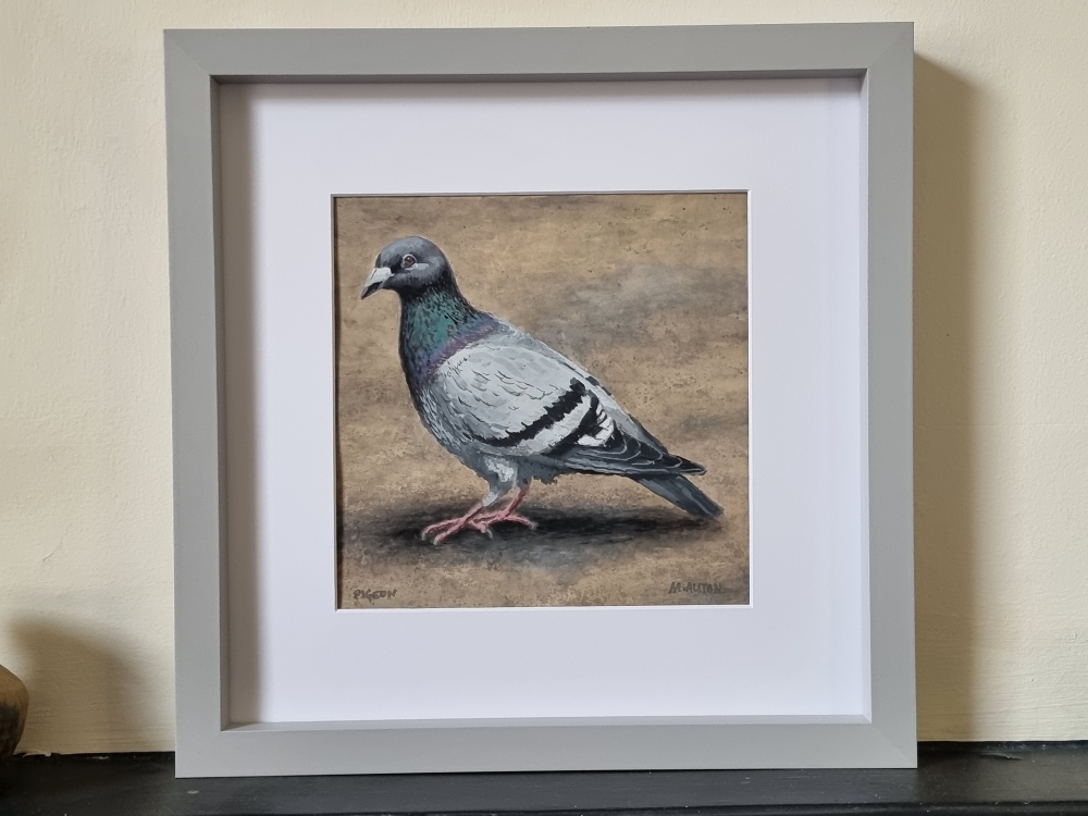 'Pigeon' Original framed gouache painting by Matthew Allton