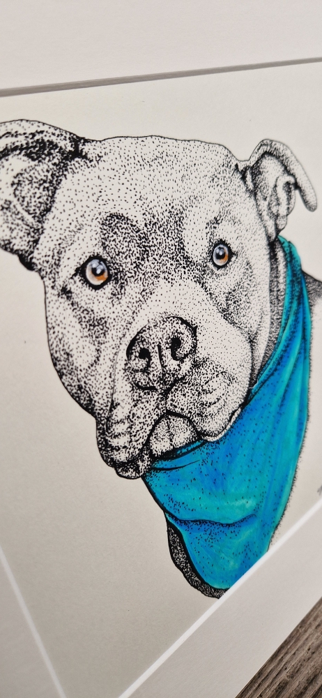 PITTIE (2017)