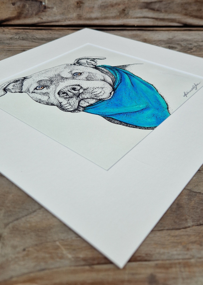 PITTIE (2017)