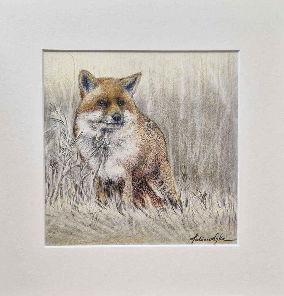 Fox (2021)