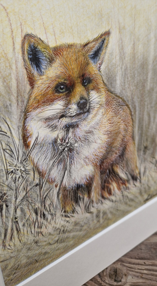 Fox (2021)