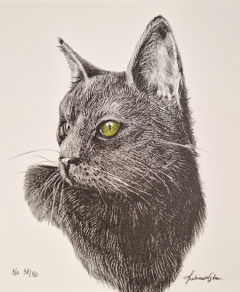Black Cat (2021)