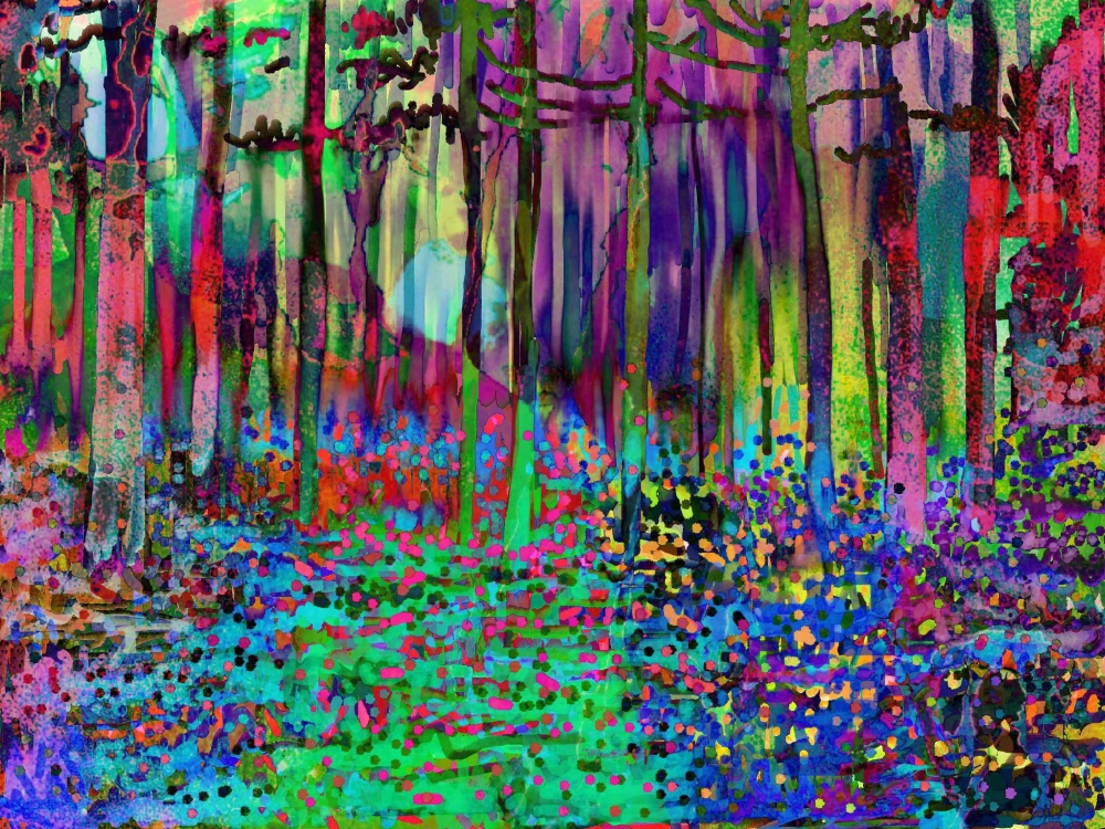 ENCHANTED FOREST