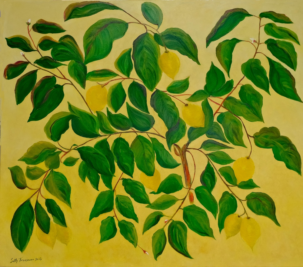 Lemon Love: Sunlit Jewels on the Branch