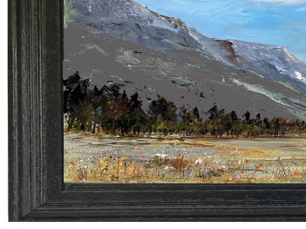 Alpine Meadow