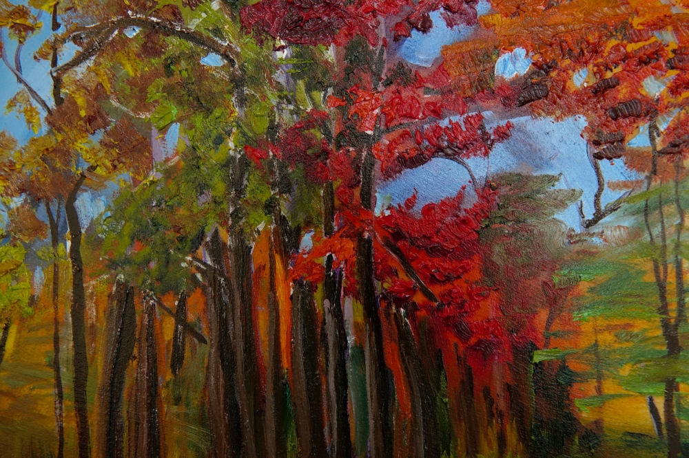 Autumn Walk 2