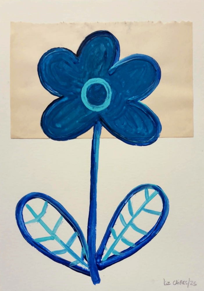 Five flowers in a vase and Blue plant