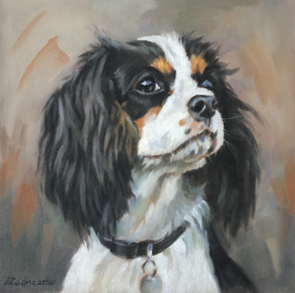 Cavalier King Charles Spaniel 