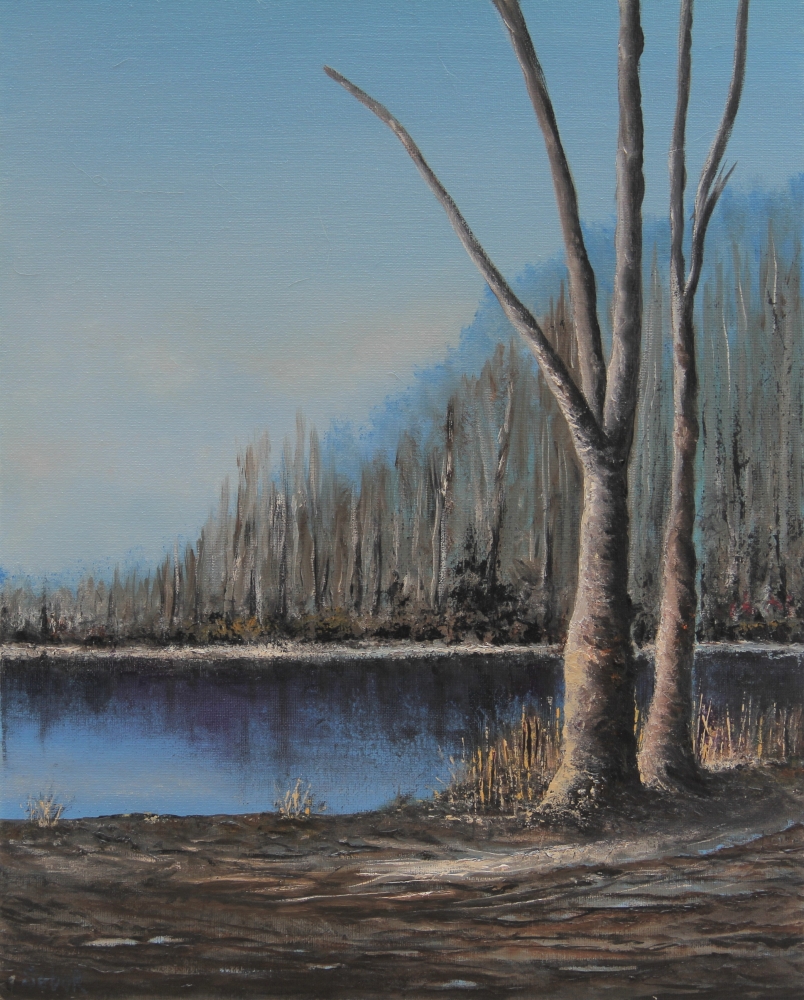 Cold Spring