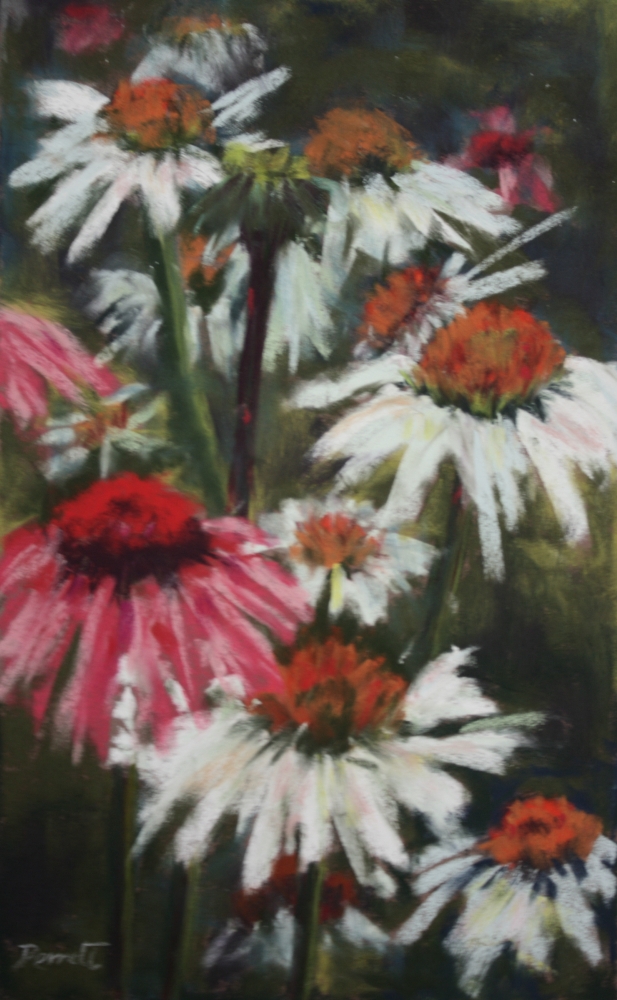 Dancing Coneflowers