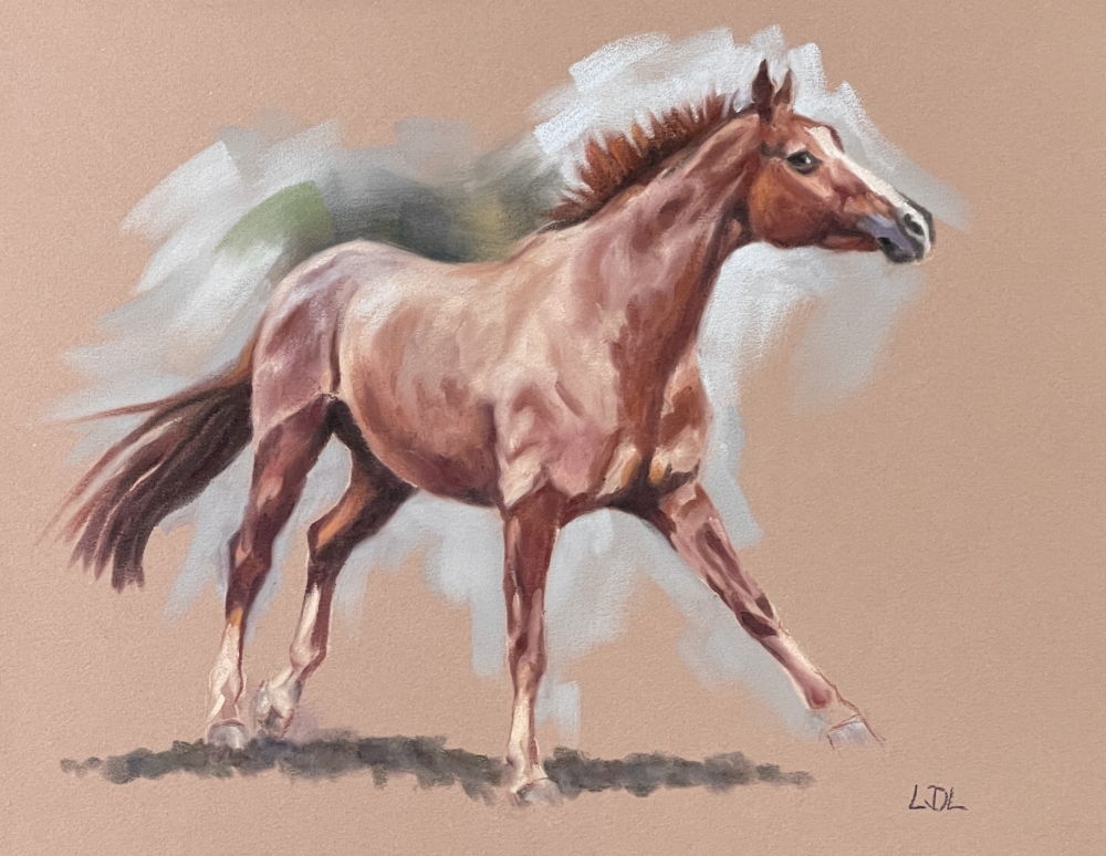 Clipped for Winter - Chestnut Horse Study 3