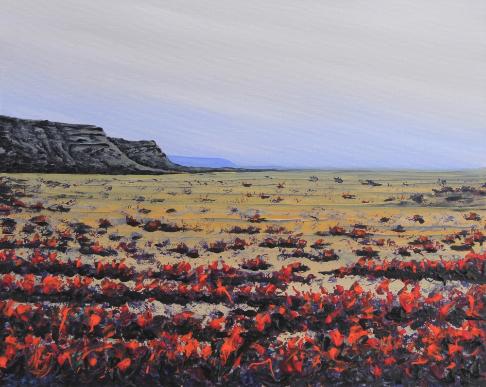 Desert Blossom
