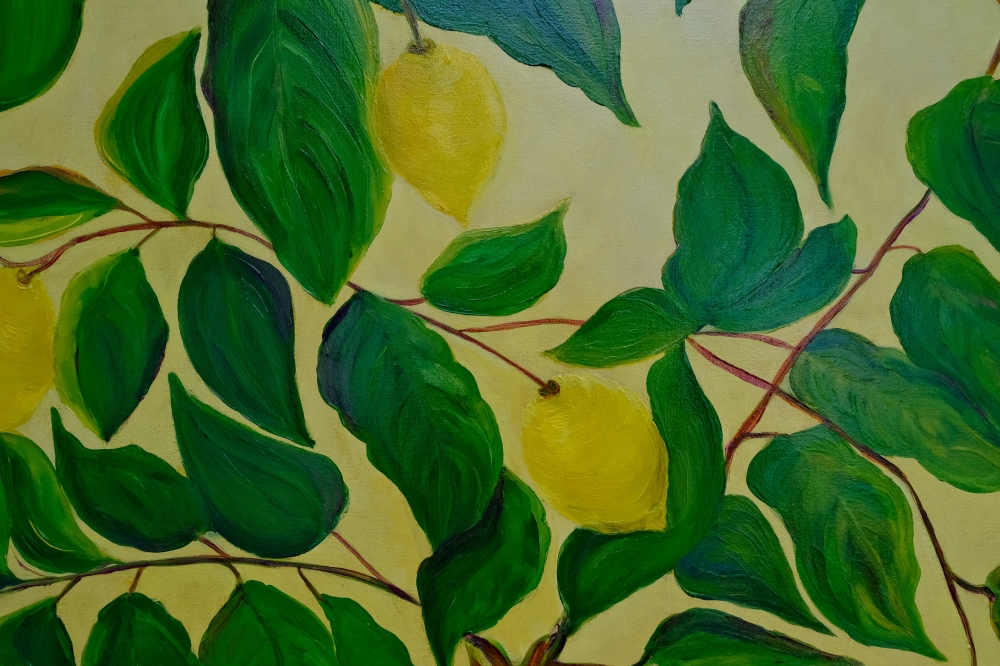 Lemon Love: Sunlit Jewels on the Branch