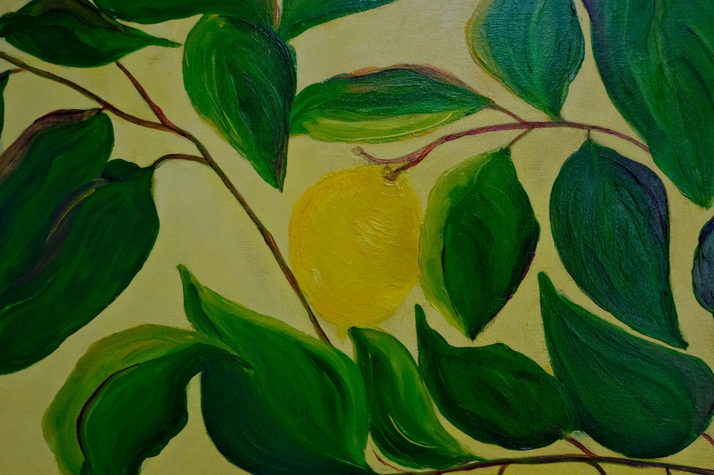 Lemon Love: Sunlit Jewels on the Branch