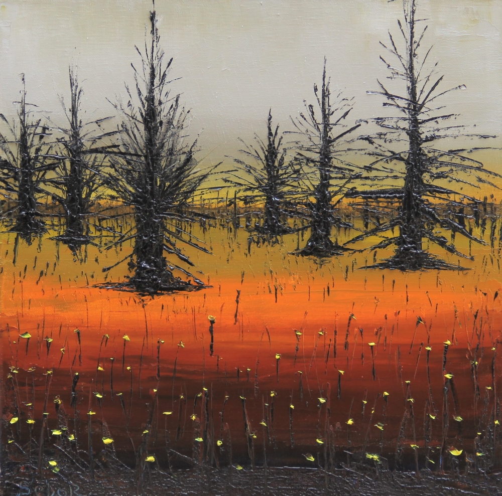 Dry Forest