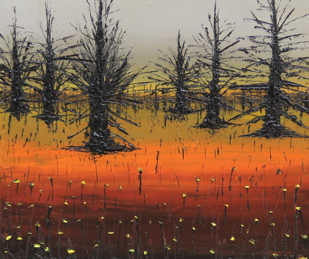 Dry Forest
