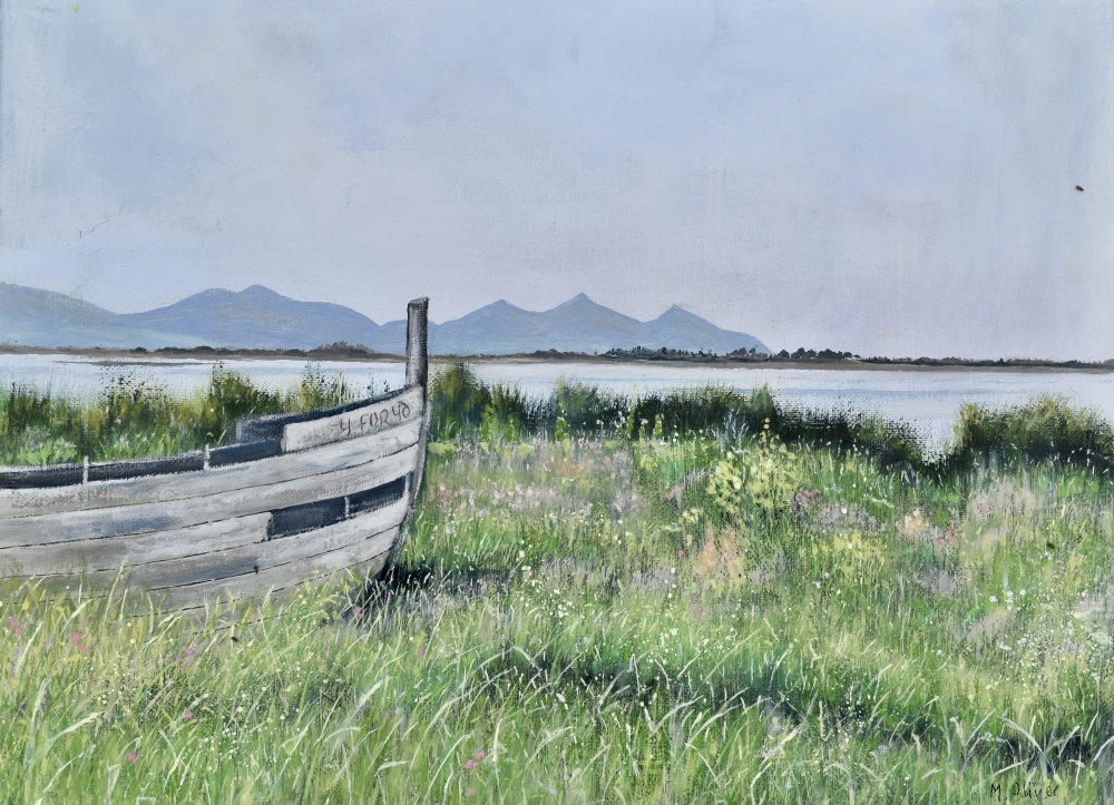 Picnic Spot, Y Foryd