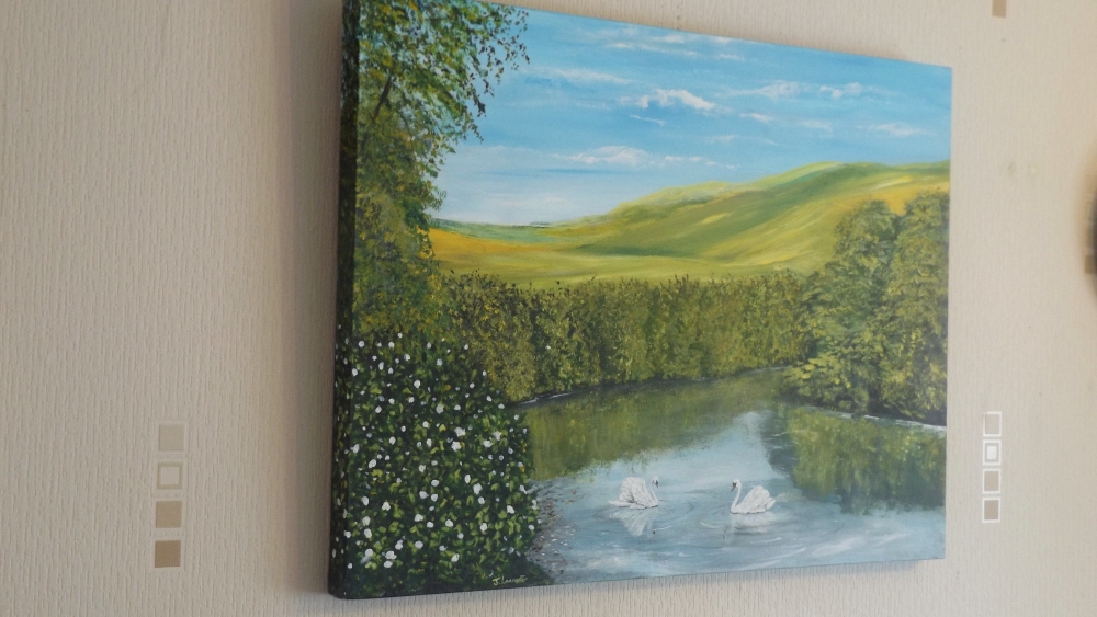 Swans on clear water