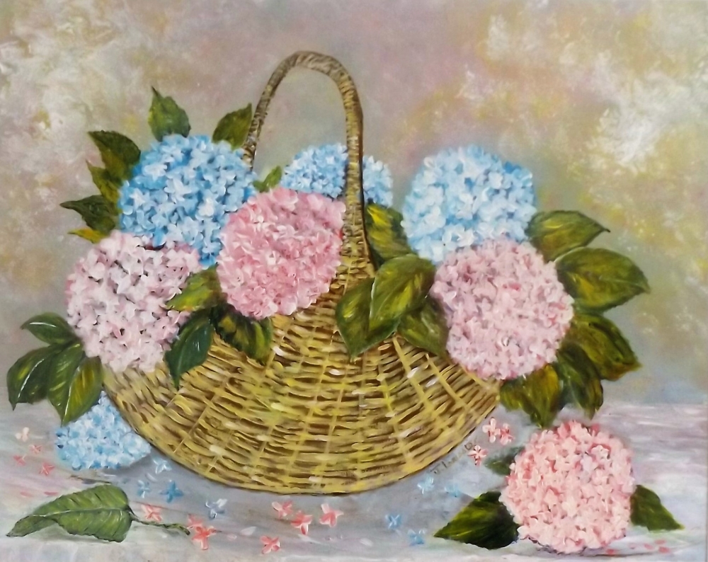 HYDRANGEAS IN BLOOM