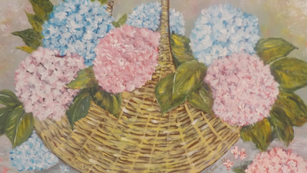HYDRANGEAS IN BLOOM