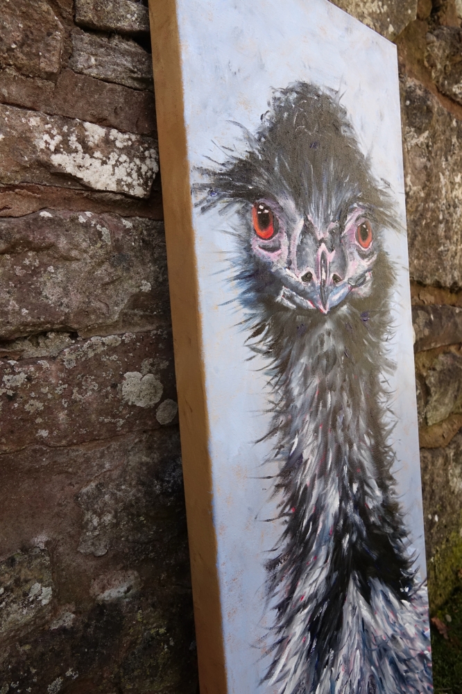 Emu Bad Hair Day
