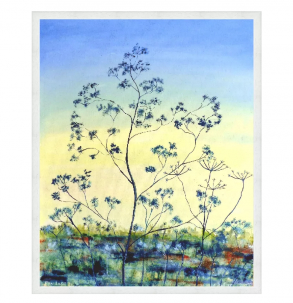 Fen Lace