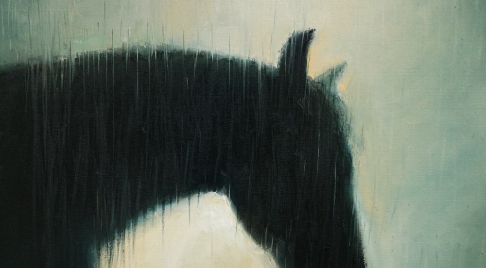 'Horse In The Rain'