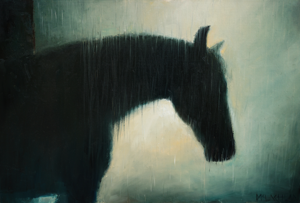 'Horse In The Rain'