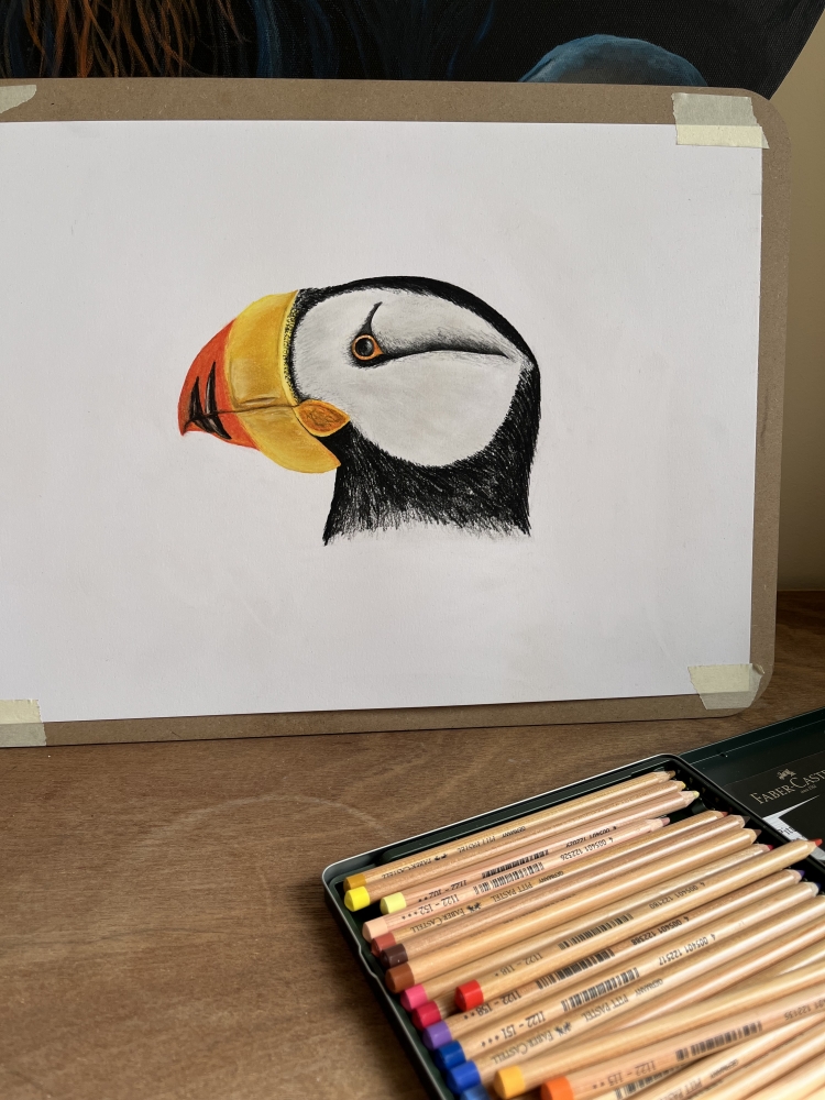 Puffin