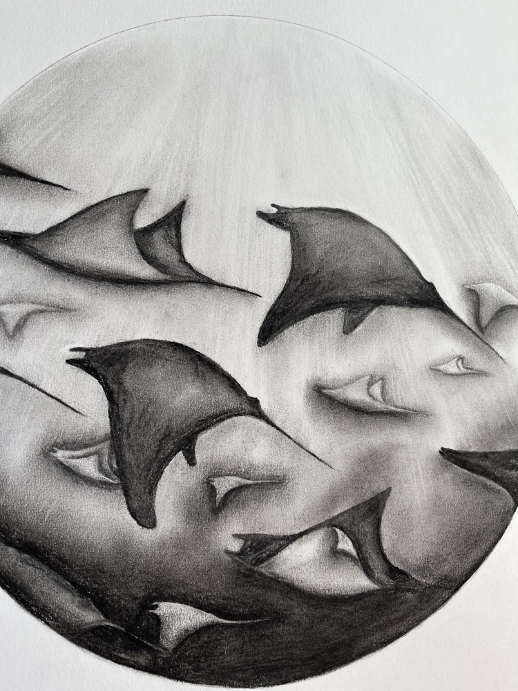Mobula Rays