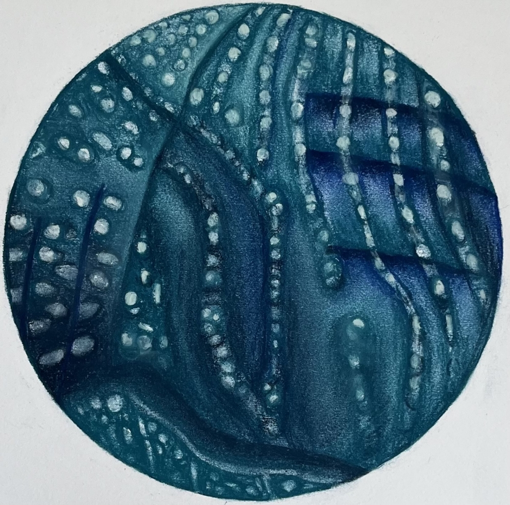 Whale Shark