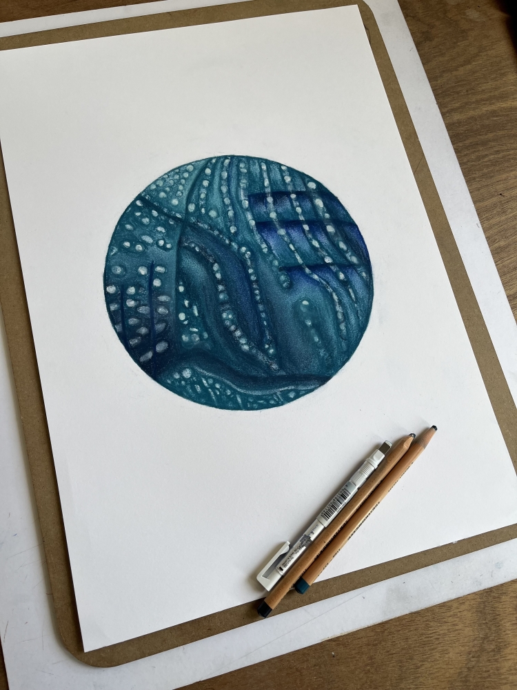 Whale Shark