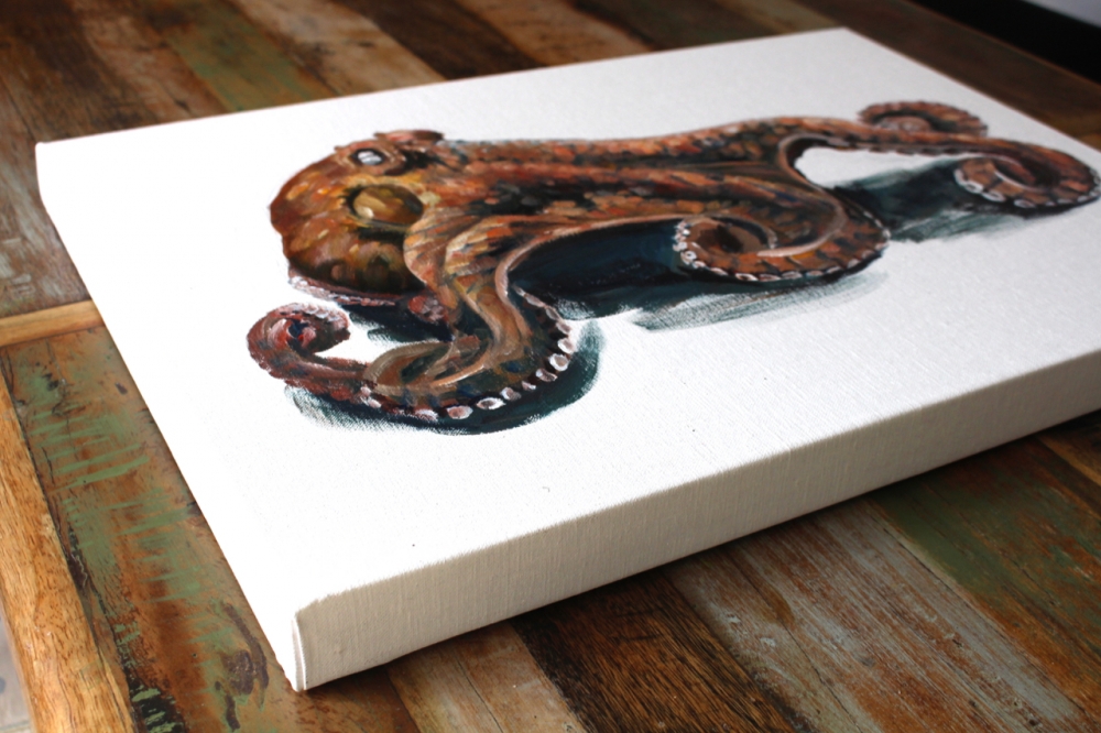 Octopus