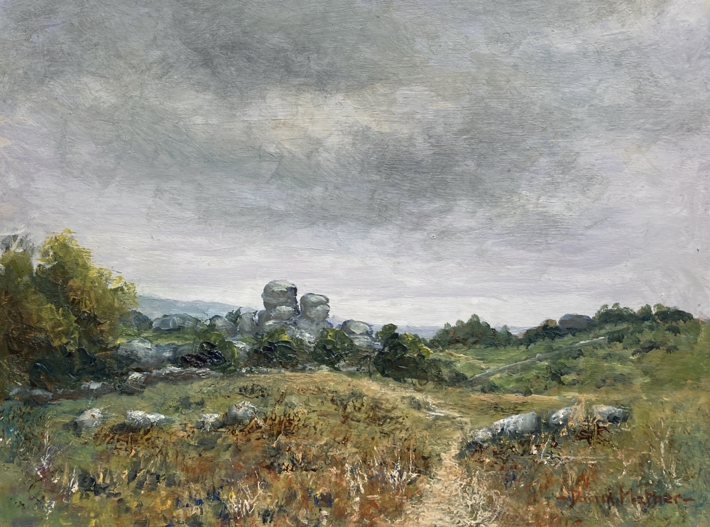 Vixen Tor Dartmoor