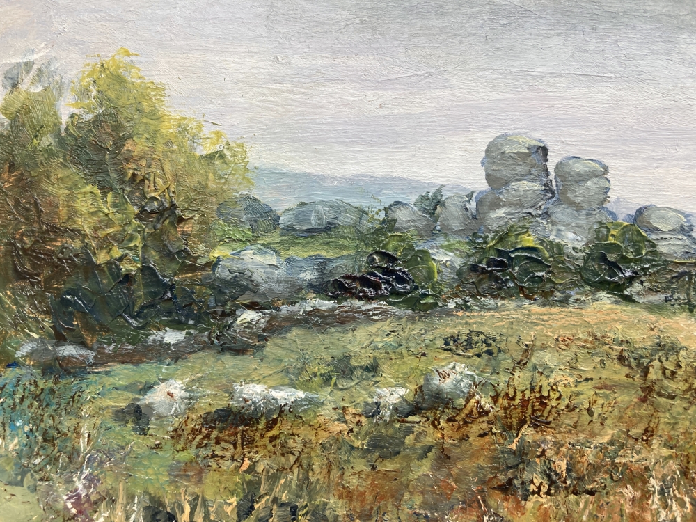 Vixen Tor Dartmoor