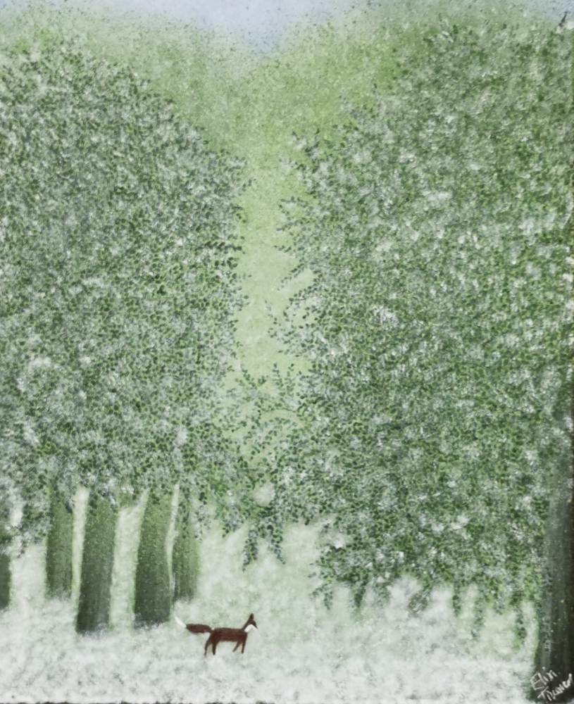 A Winter Woodland 
